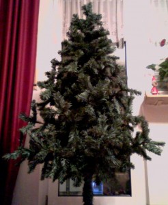 Weihnachtsbaum (nackt)